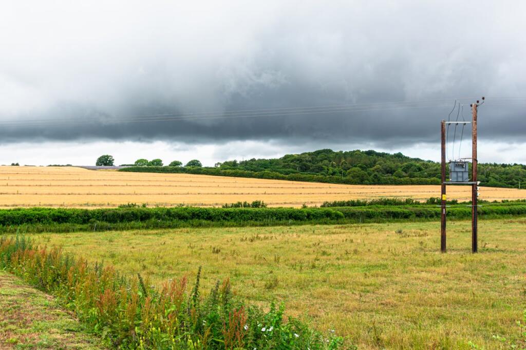 Additional image 9 of Holwell Farm, Cranborne, Wimborne, BH21 5QP