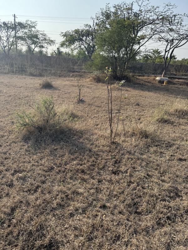 Additional image 2 of JP Darga, Kothur, Hyderabad