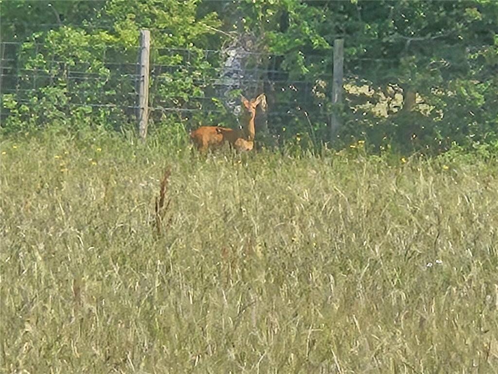 Additional image 32 of Ossemsley, Christchurch, Hampshire, BH23