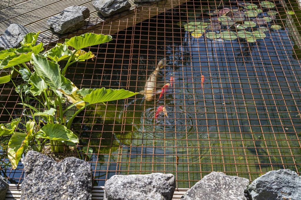 Additional image 34 of Firle Road, Seaford