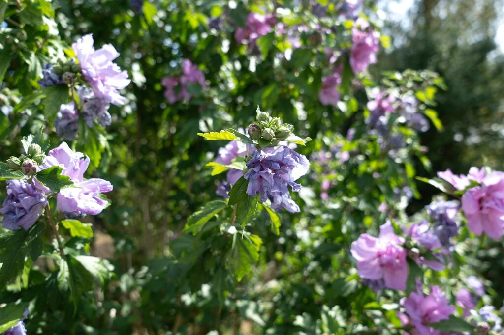 Additional image 8 of East Stoke, Wareham, Dorset