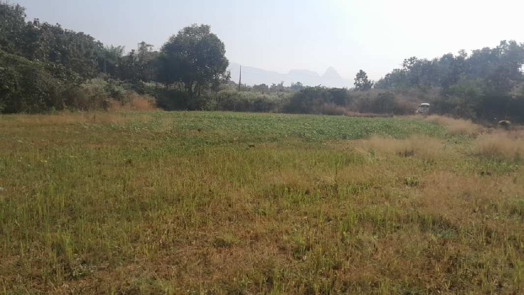 Additional image 3 of Murbad, Thane