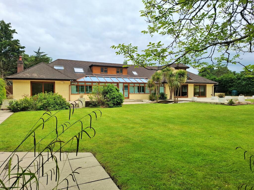 Additional image 29 of Matchams