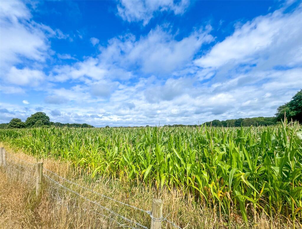 Additional image 17 of Burley Road, Bransgore, Christchurch, Dorset, BH23