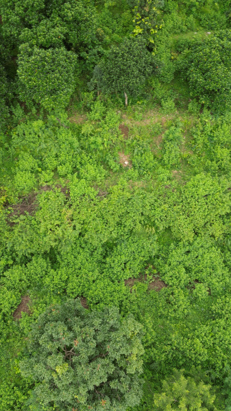 Additional image 2 of Thano, Dehradun