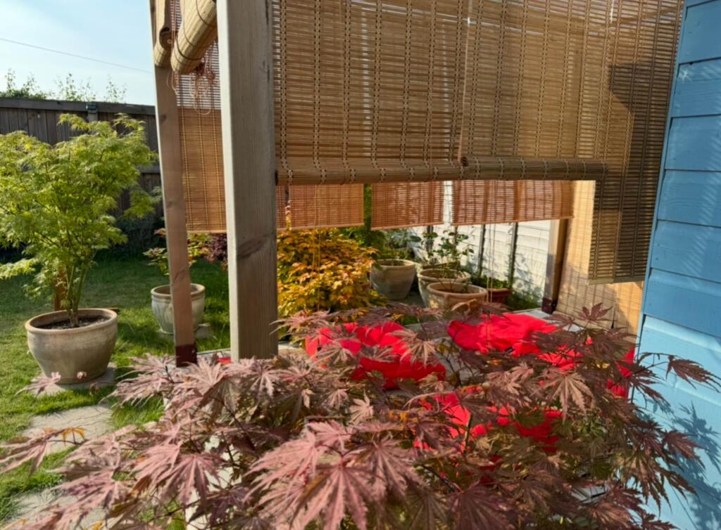 Additional image 32 of Macauley Drive, Eastbourne