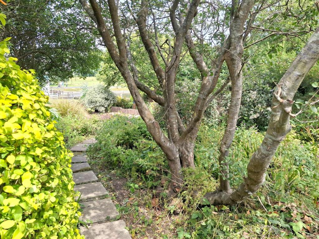 Additional image 19 of Hendon Avenue, Rustington, Littlehampton