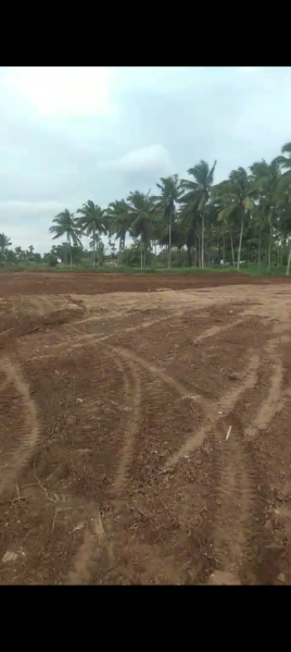 Additional image 3 of Kinathukadavu, Coimbatore