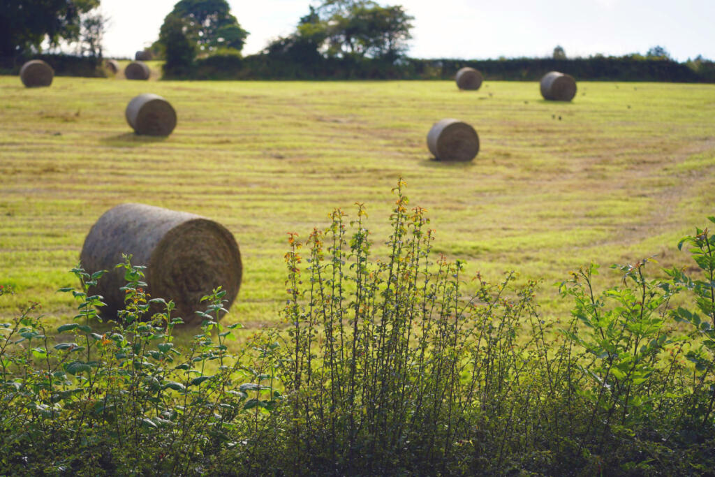 Additional image 26 of Cann Street, Tottington, Bury, Greater Manchester, BL8 3PF