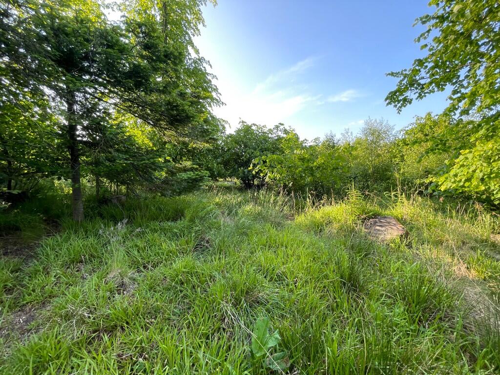 Additional image 9 of Woodland at Former Boharm Church, Mulben, Keith, AB55 6XP