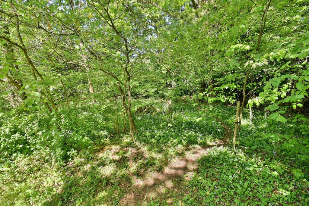 Additional image 21 of Haddons Drive, Three Legged Cross, Wimborne, BH21