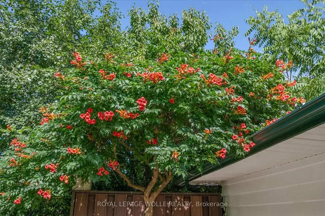 Additional image 27 of 218 Overlea Dr