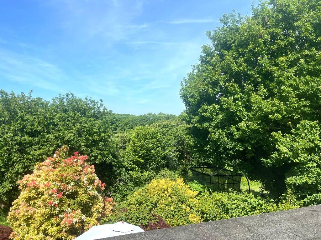 Additional image 10 of Springbrook Close, Harmans Cross, BH20