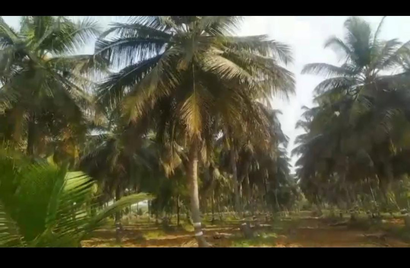 Additional image 2 of Nanjungud Road, Mysore