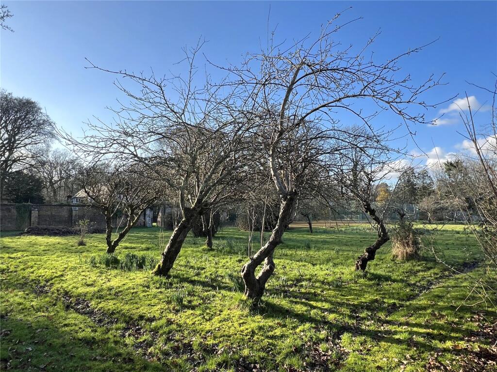 Additional image 21 of Holmsley Road, Wootton, New Milton, Hampshire, BH25