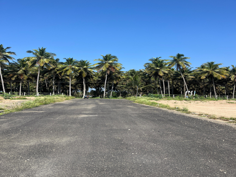 Additional image 3 of Kinathukadavu, Coimbatore