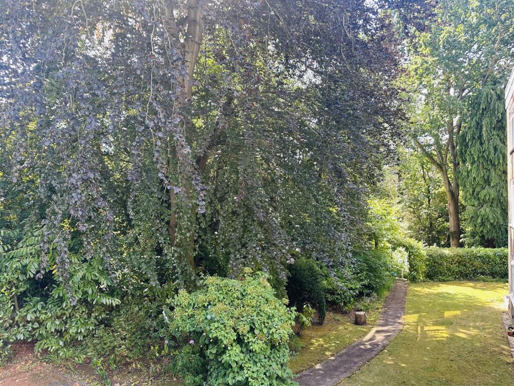 Additional image 14 of Branksome Wood Road, Bournemouth