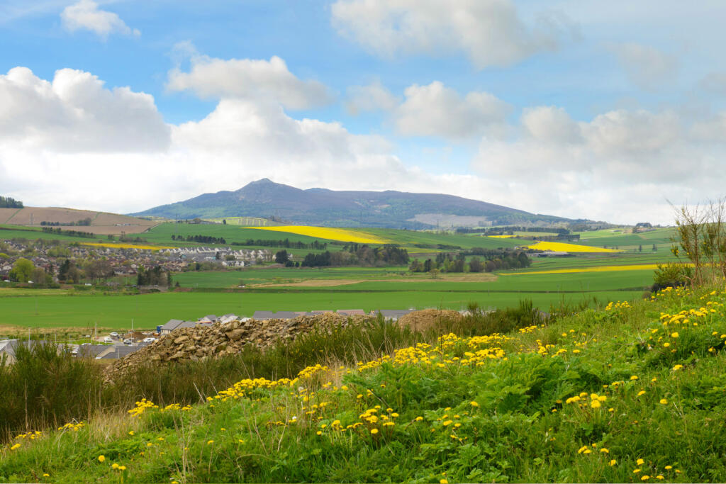 Additional image 16 of Old Meldrum Road, 
Inverurie, Aberdeenshire
AB51 6HL