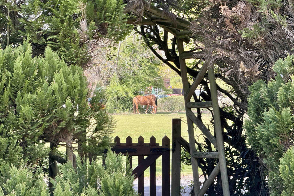 Additional image 26 of Rockford, Ringwood, BH24