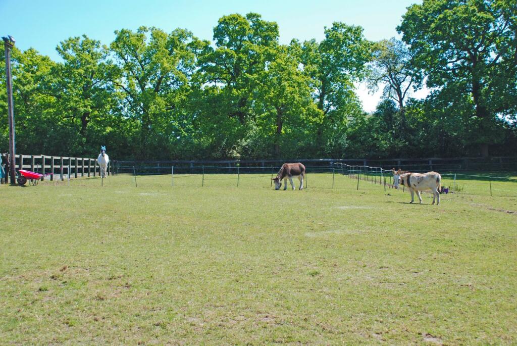 Additional image 24 of South Drive, Ossemsley, New Milton, BH25