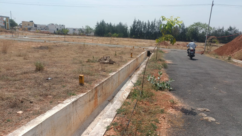 Tilak Vihar, Tilak Nagar, Delhi