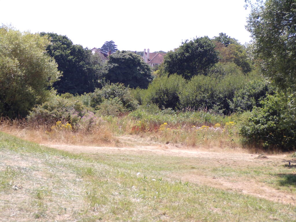 Additional image 13 of Christchurch