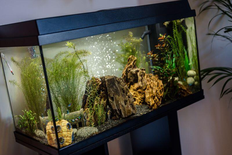 Additional image 7 of Holden Mill, Blackburn Road, Bolton