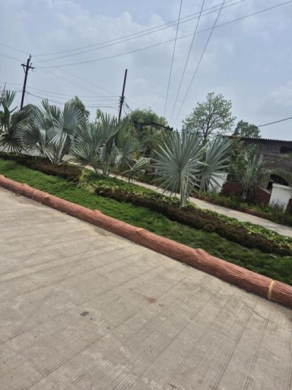 Additional image 3 of A B Road, Indore