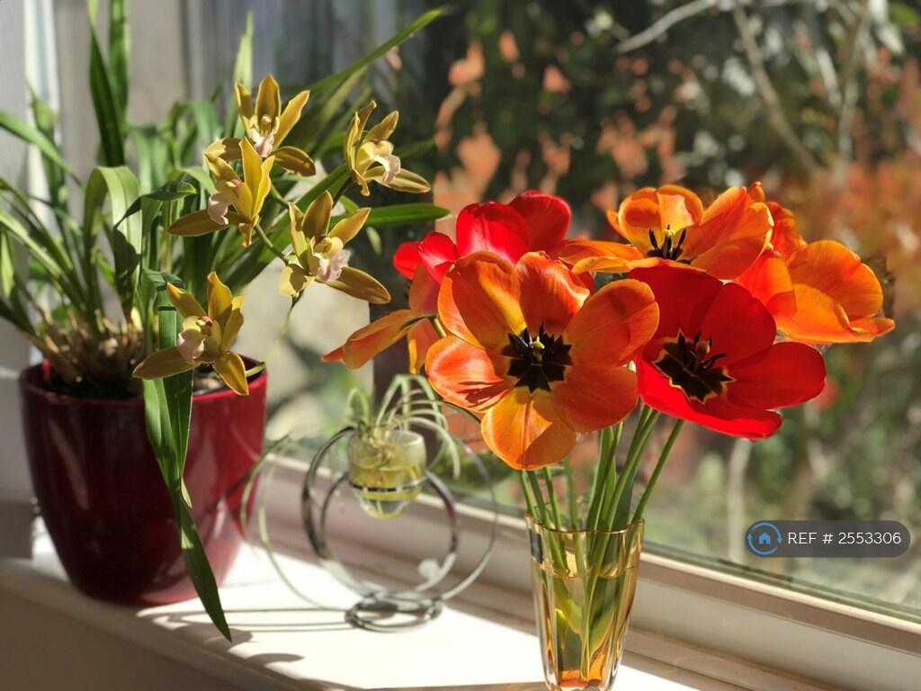 Additional image 7 of Southill Road, Bournemouth, BH9