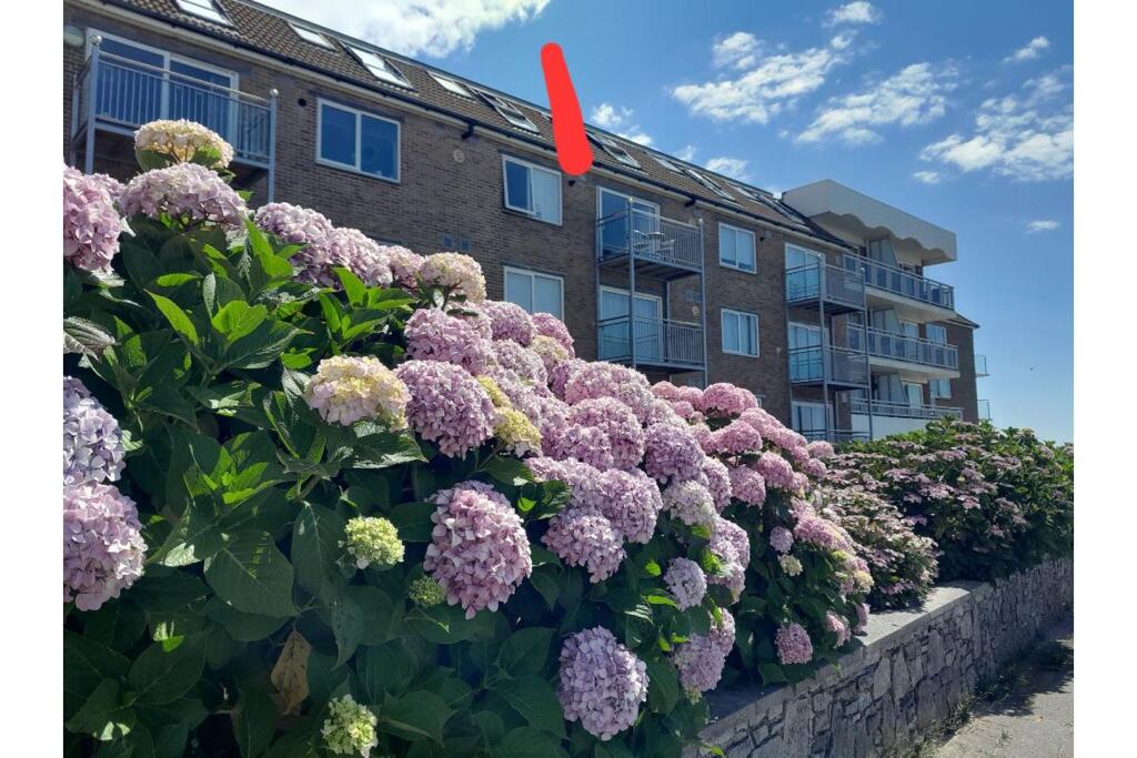 Additional image 8 of Sea Road, Southbourne, Bournemouth, BH6