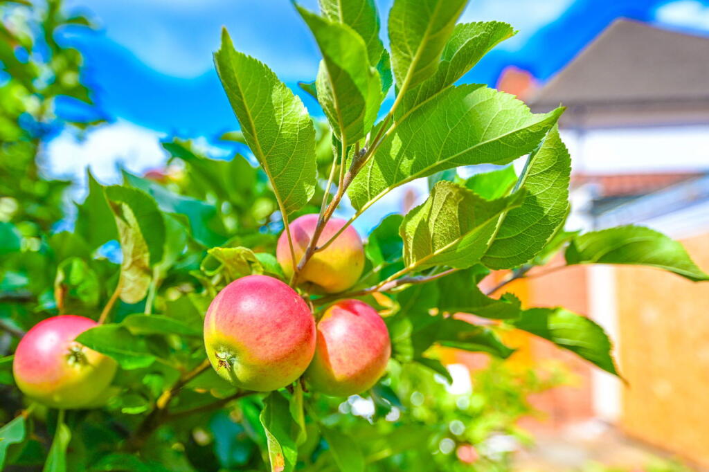 Additional image 20 of Shirley Road, Hall Green, Birmingham, B28 9LH