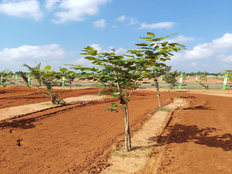 Additional image 2 of Madurantakam, Chennai