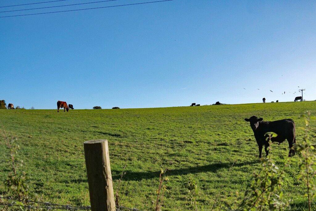 Additional image 23 of Carla Beck Barn, Carla Beck Lane, Carleton, Skipton, BD23 3BU