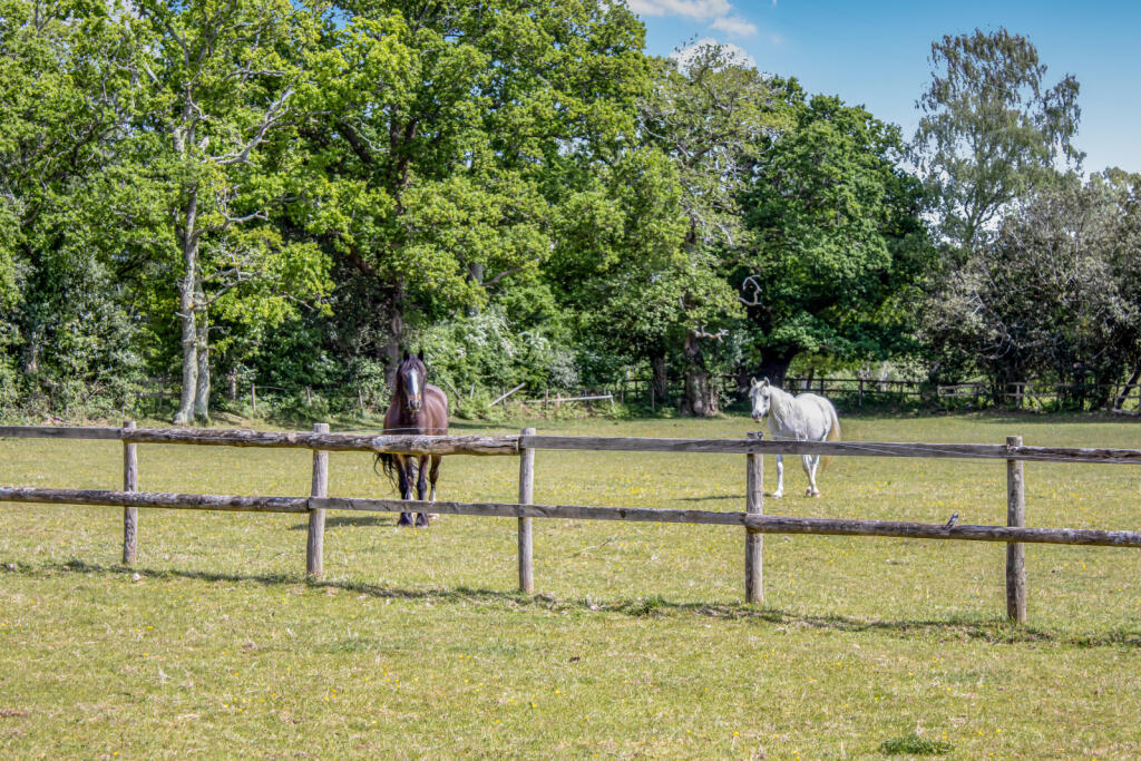 Additional image 37 of Highwood, Ringwood, Hampshire, BH24