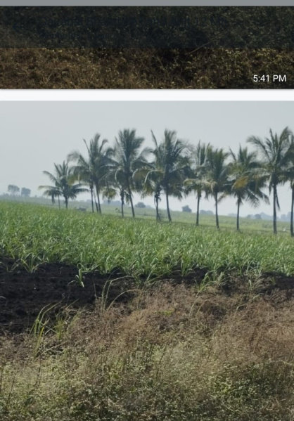 Property image for Indapur, Pune