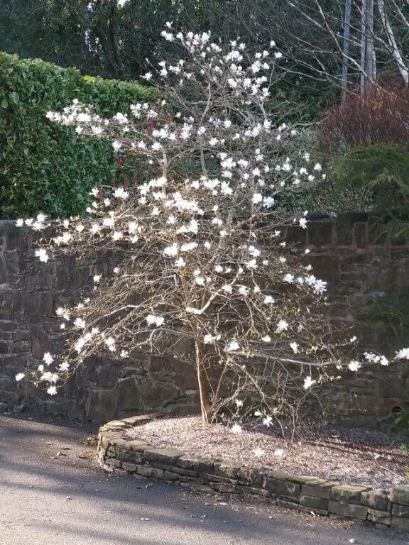 Additional image 45 of 5 Lostock Junction Lane, Bolton, BL6 4JR