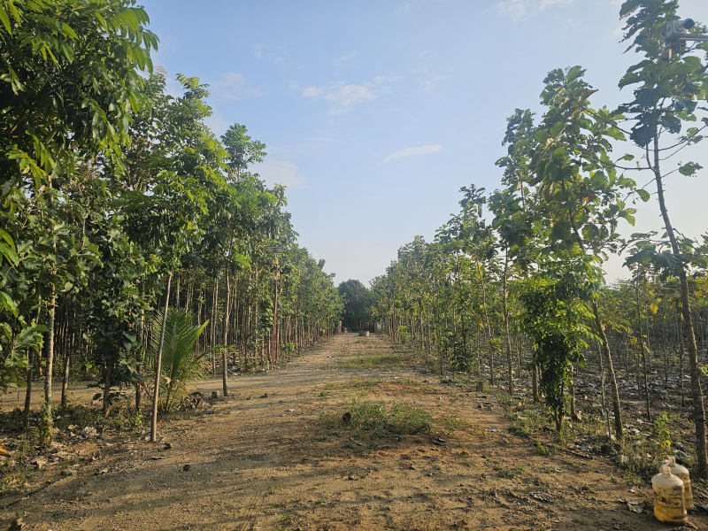 Additional image 3 of Othakalmandapam, Coimbatore