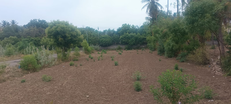 Additional image 2 of Kochadai, Madurai