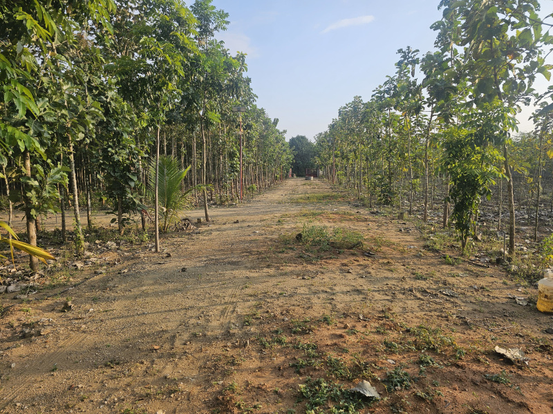 Additional image 2 of Othakalmandapam, Coimbatore