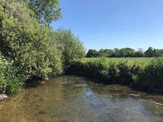 Additional image 21 of Ringwood, Hampshire, BH24