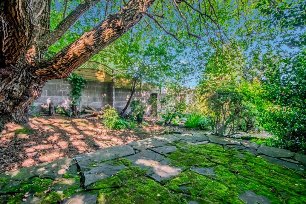 Additional image 26 of Hollingwood Mount, Great Horton, Bradford, BD7