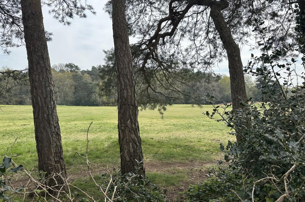 Additional image 21 of Little Forest Road, Talbot Woods, Bournemouth, BH4