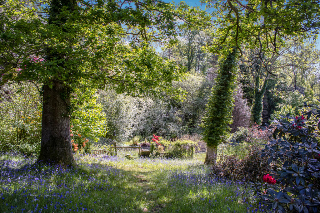 Additional image 33 of Highwood, Ringwood, Hampshire, BH24