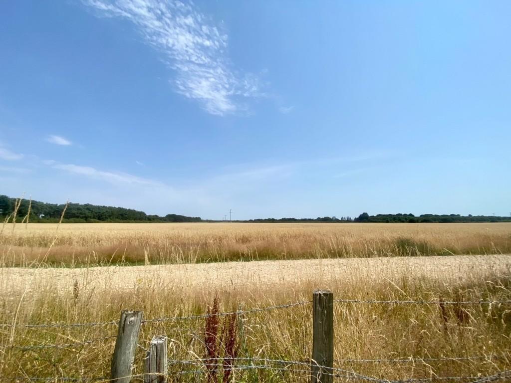 Additional image 17 of Ringwood Road, BH23