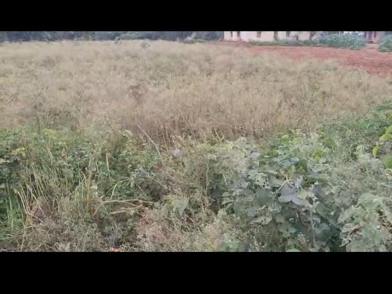 Additional image 3 of Doddaballapur, Bangalore