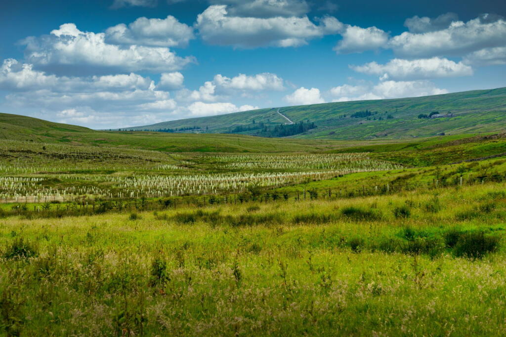 Additional image 30 of Buckden, Skipton, North Yorkshire, BD23 5JS