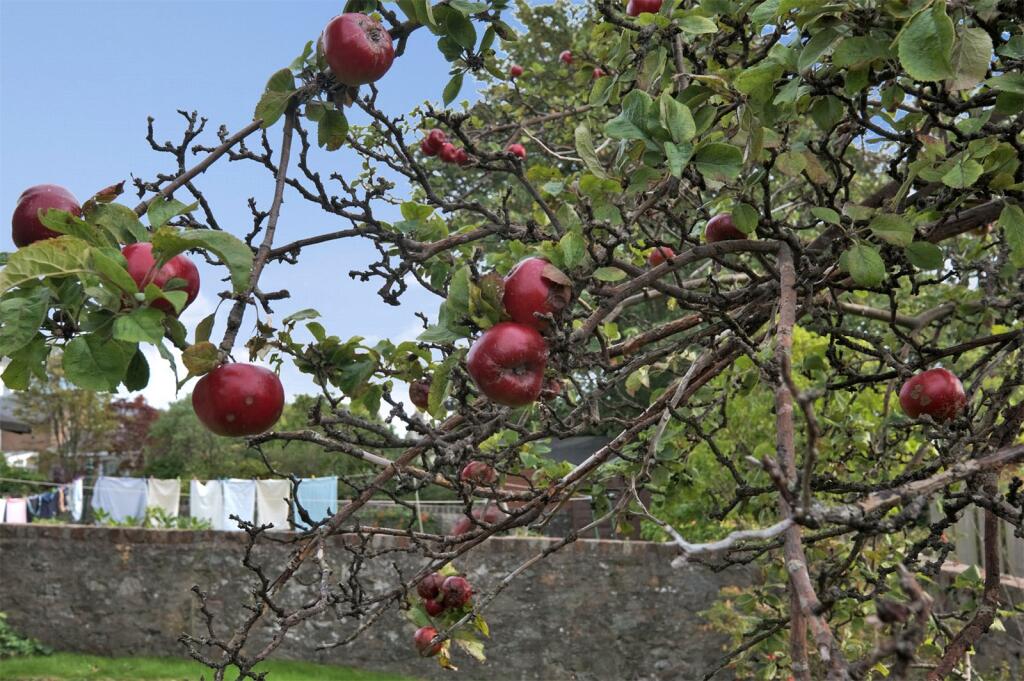 Additional image 24 of Braemar Place, West End, Aberdeen, AB10