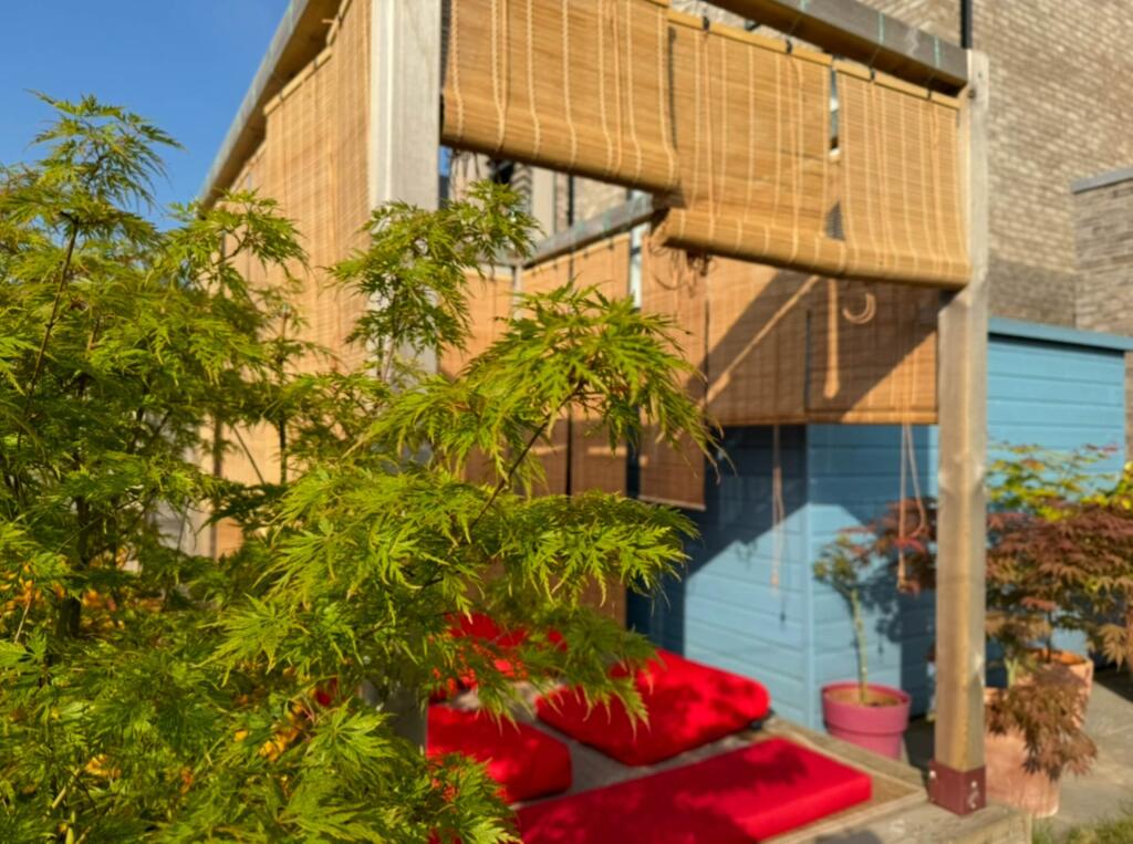 Additional image 34 of Macauley Drive, Eastbourne