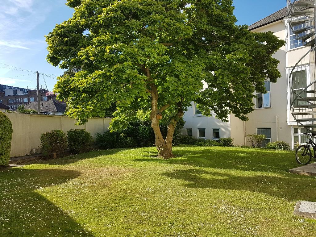 Additional image 3 of Gervis Road, Bournemouth, Dorset, BH1