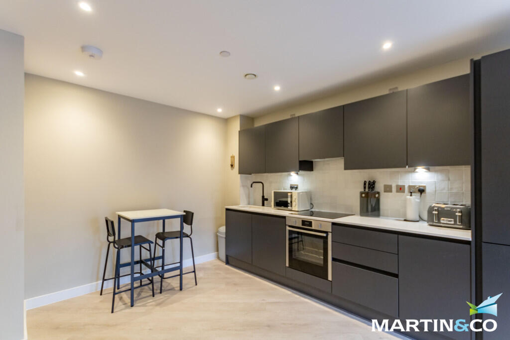 Additional image 3 of Fountain, Alcester Street, Digbeth, B12